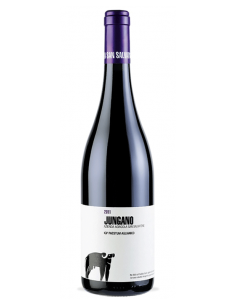 Jungano san Salvatore