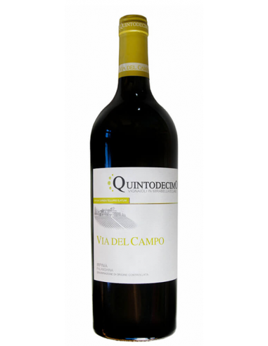 via del campo quintodecimo