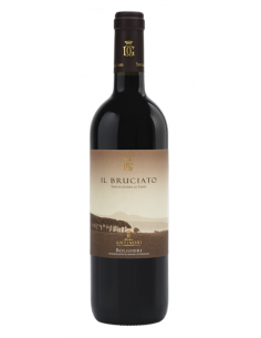 Bolgheri rosso "Il...