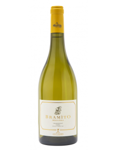 Bramito 2023