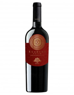 Campania Aglianico IGT...