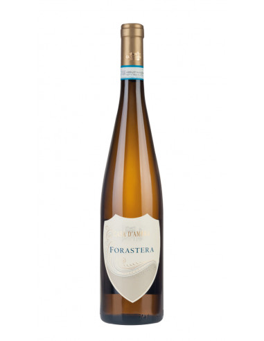 forastera casa d'ambra