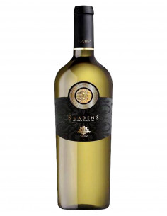 Campania Bianco IGT Suadens...