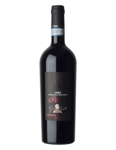 Piedirosso Sannio DOP 2022